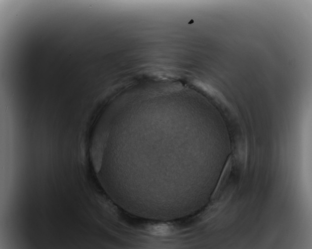 X0000088390513200705291411