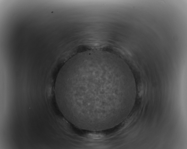 X0000088390515200705291411