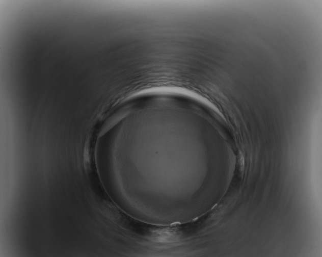 X0000088390516200705291411