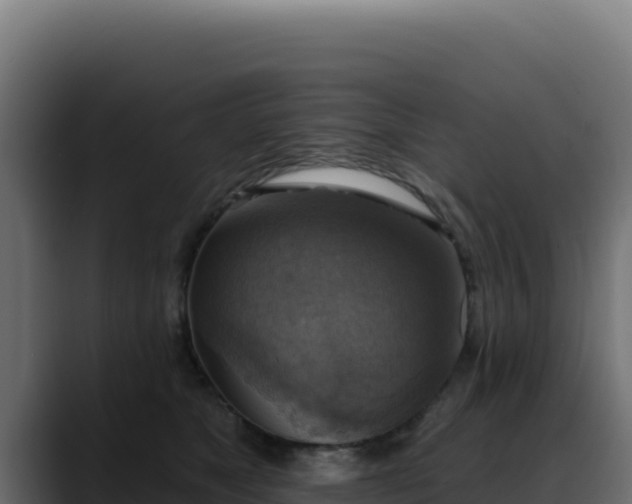 X0000088390517200705291411