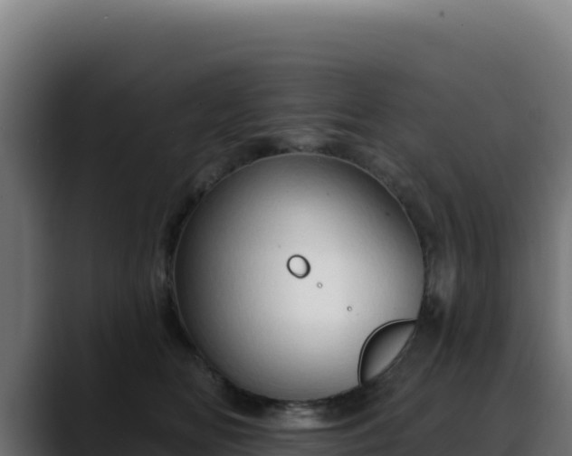 X0000088390518200705291411