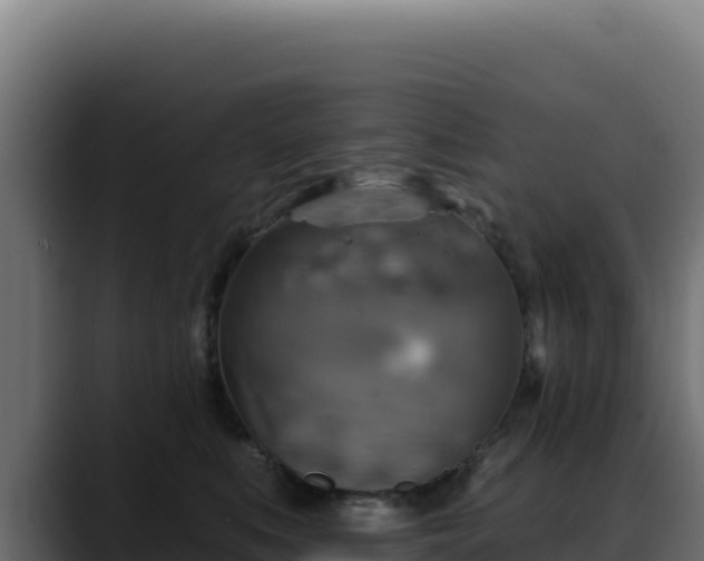 X0000088390519200705291411