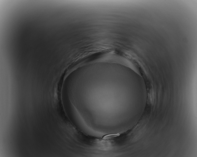 X0000088390520200705291411