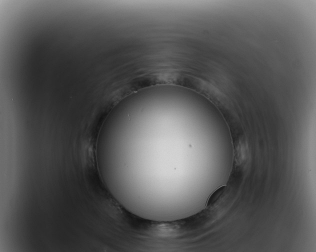 X0000088390522200705291411