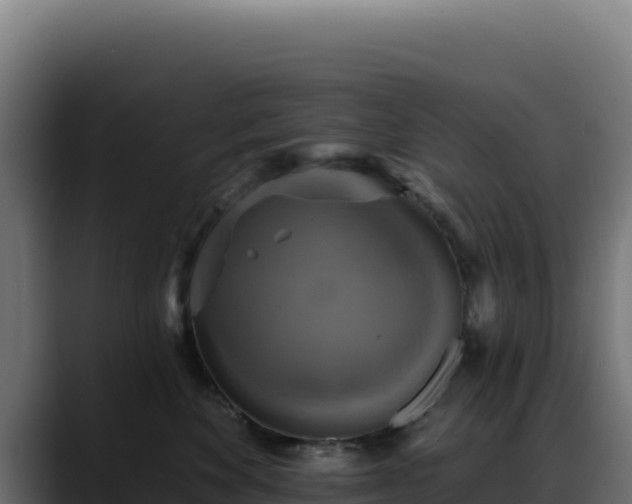 X0000088390524200705291411