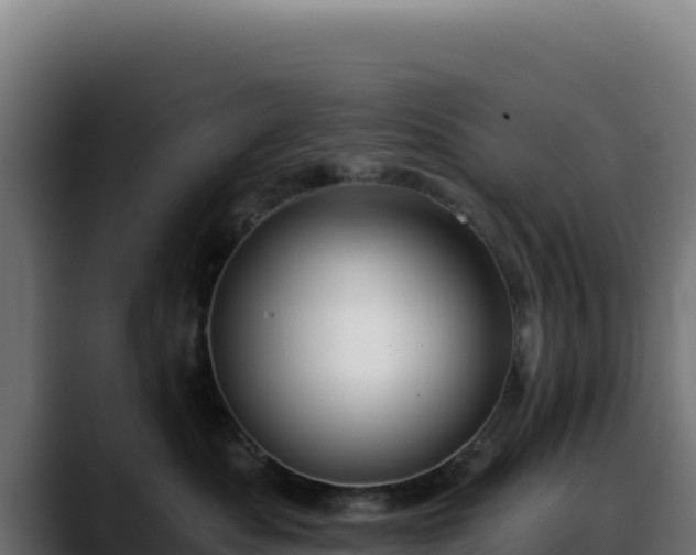 X0000088390525200705291411