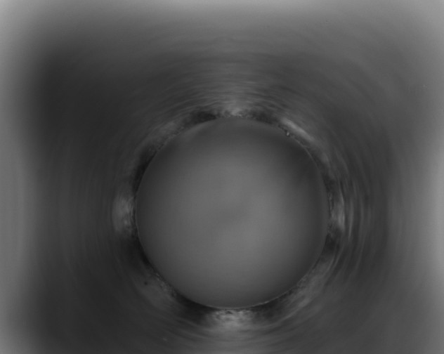 X0000088390526200705291411