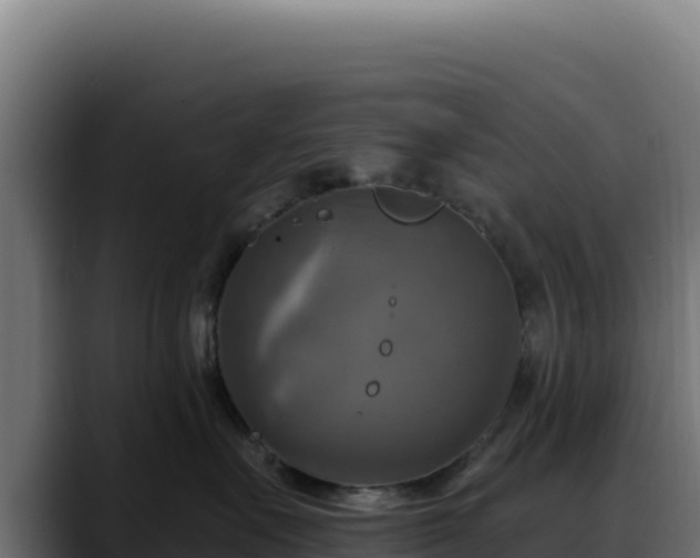 X0000088390527200705291411