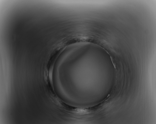 X0000088390528200705291411