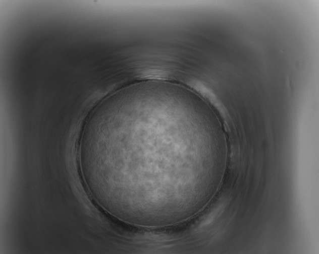 X0000088390529200705291410