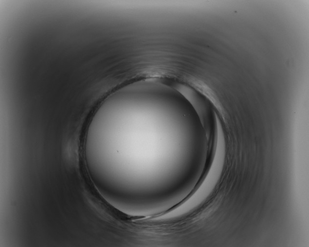 X0000088390530200705291410