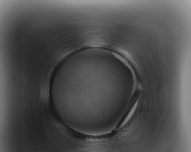 X0000088390531200705291410