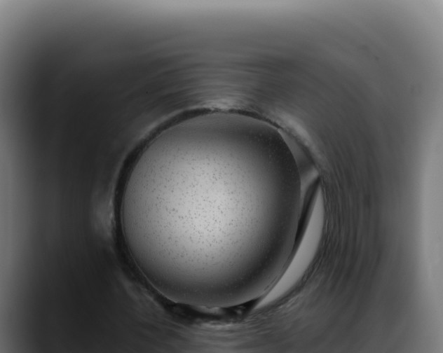 X0000088390532200705291410