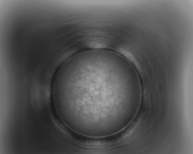 X0000088390533200705291410