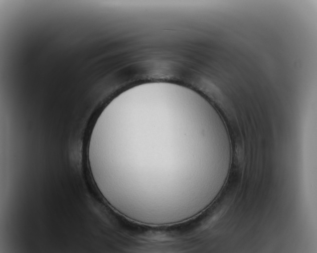 X0000088390534200705291410