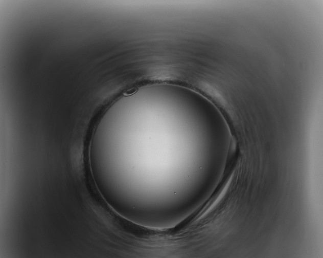 X0000088390535200705291410