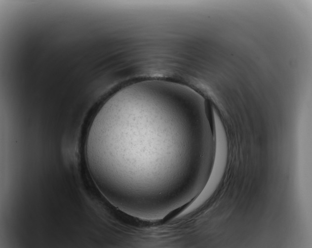 X0000088390536200705291410