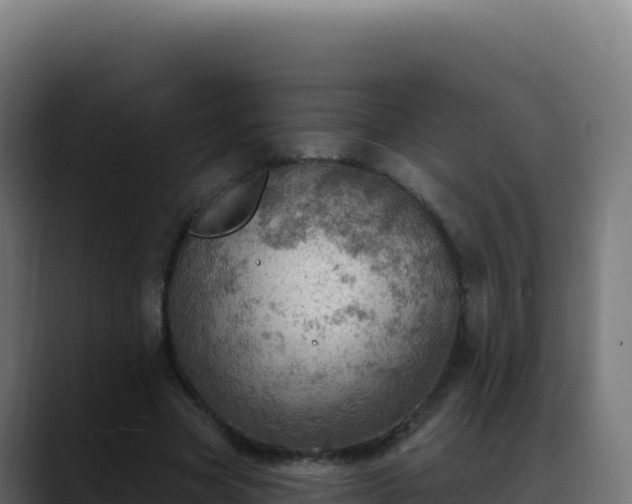 X0000088390537200705291410