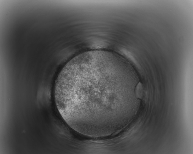 X0000088390539200705291410