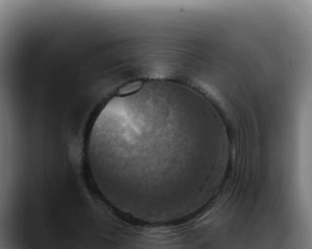 X0000088390540200705291410