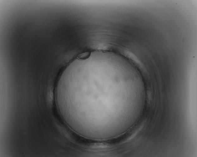 X0000088390541200705291410