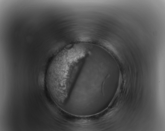 X0000088390542200705291410