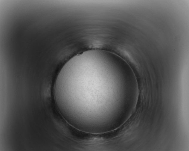 X0000088390543200705291410