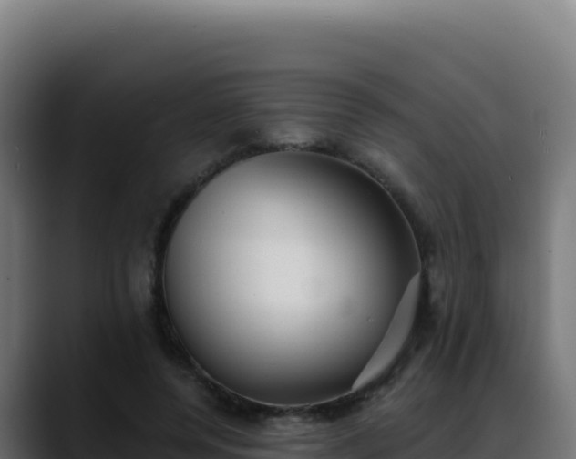 X0000088390544200705291410