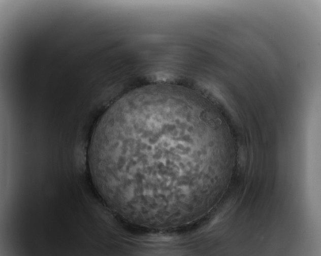 X0000088390545200705291410