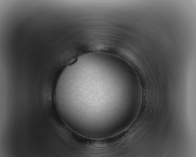 X0000088390546200705291410