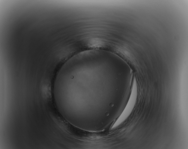 X0000088390547200705291410