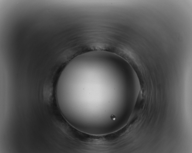 X0000088390548200705291410