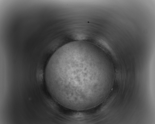 X0000088390549200705291410