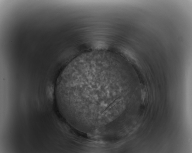 X0000088390550200705291410