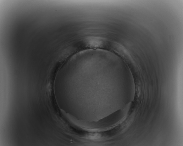 X0000088390551200705291410