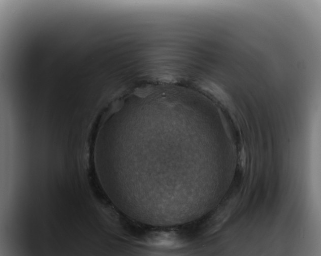 X0000088390552200705291410