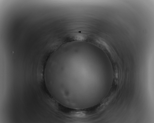 X0000088390553200705291410