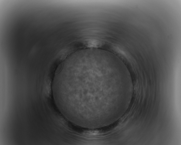 X0000088390554200705291410