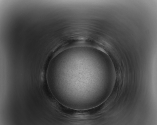 X0000088390556200705291410