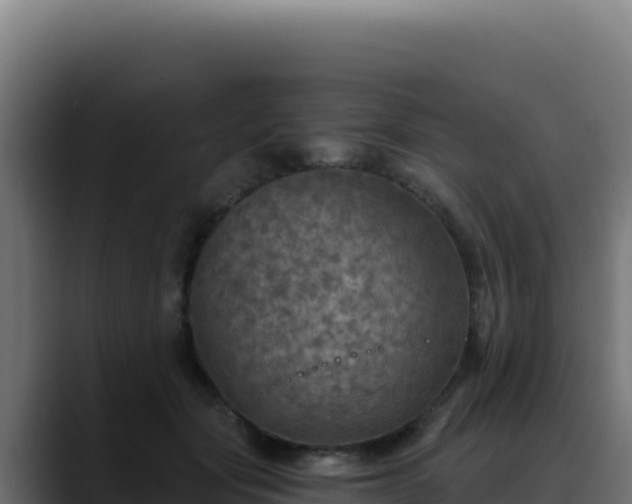 X0000088390557200705291410