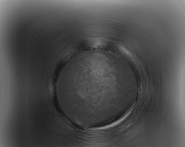 X0000088390558200705291410