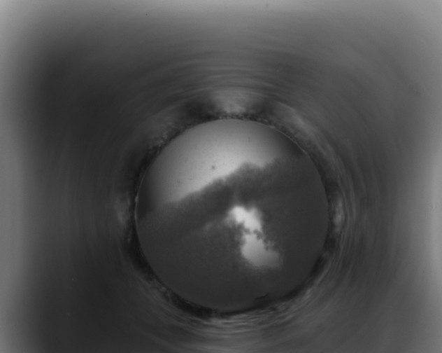 X0000088390559200705291410