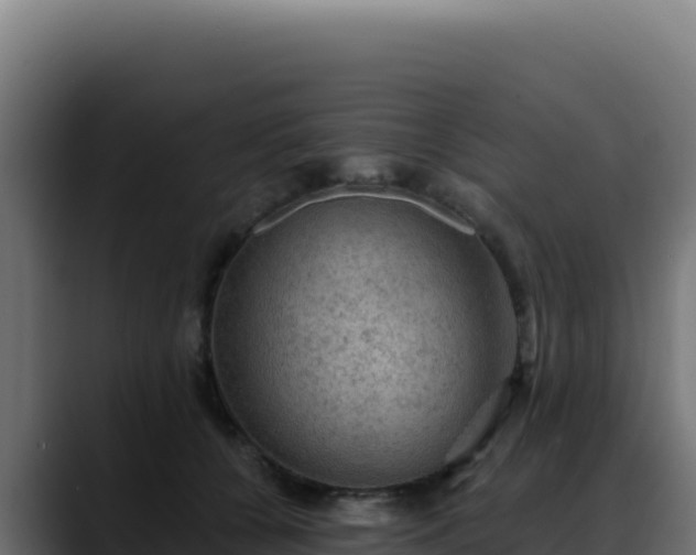 X0000088390560200705291410