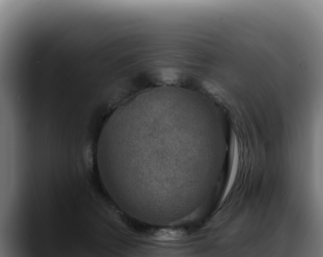 X0000088390562200705291410