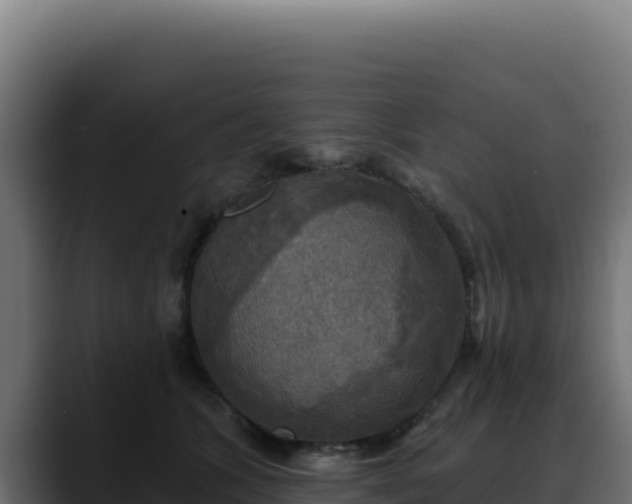 X0000088390563200705291410