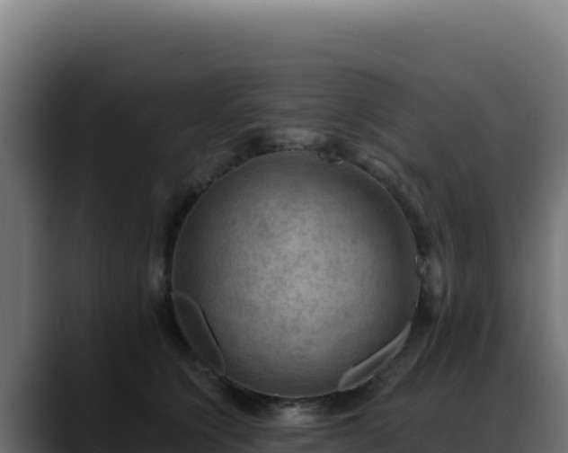 X0000088390564200705291410