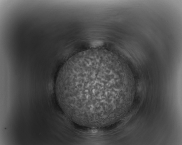 X0000088390565200705291411