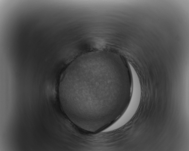 X0000088390566200705291411