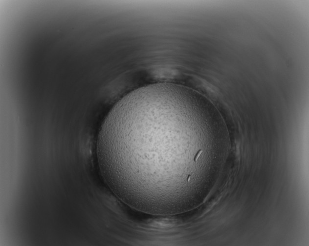 X0000088390567200705291411