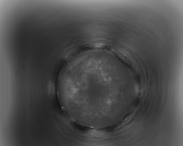 X0000088390568200705291411